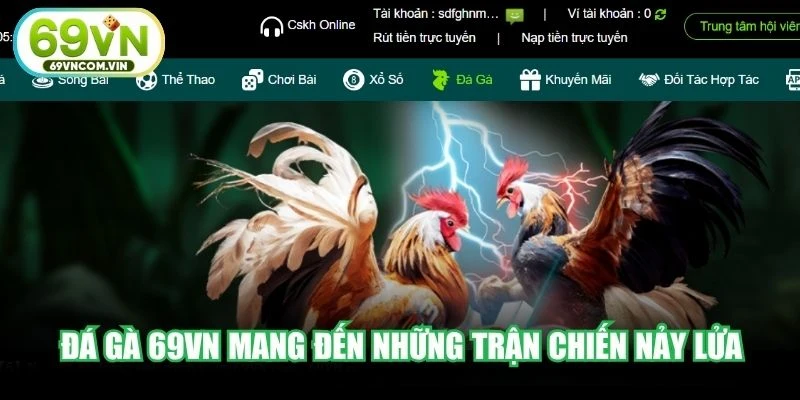 Đá gà 69VN mang đến những trận chiến nảy lửa với chất lượng sắc nét